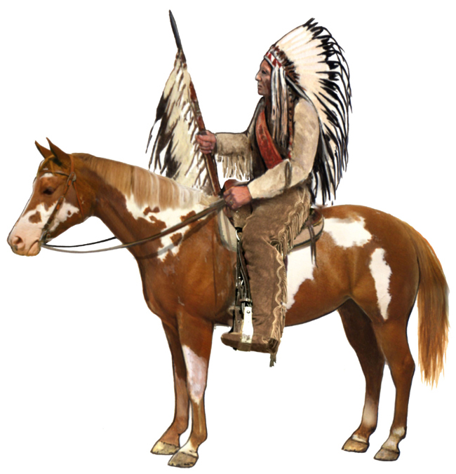 Pinto Horse / Paint Horse